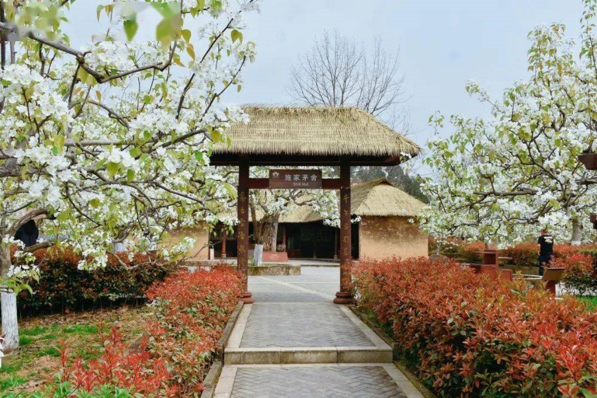 Cangxi Pear Culture Expo Park